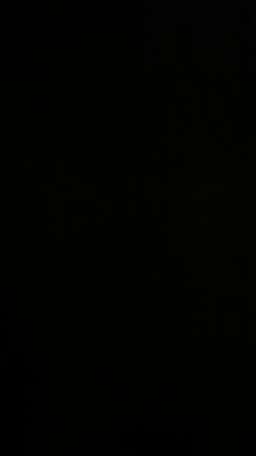 Apple fall from the tree