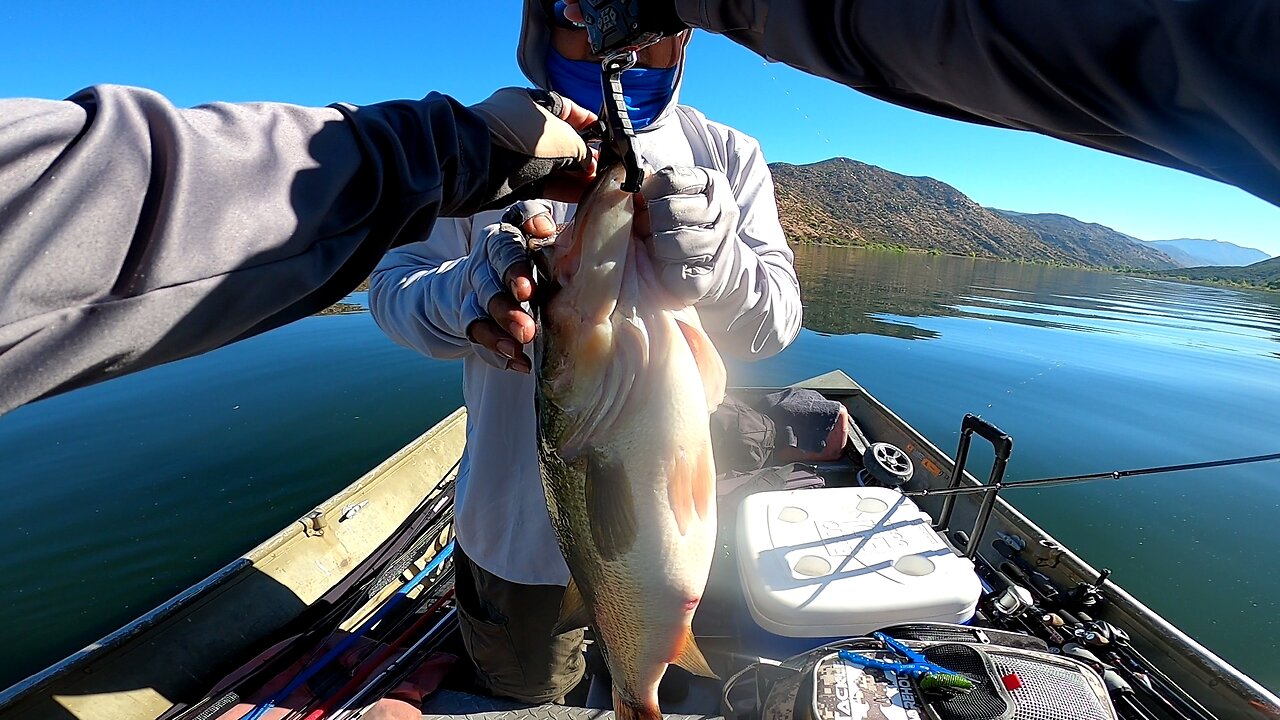 Daryl's 8.8 lber at Barrett Lake - Sept 28th, 2024