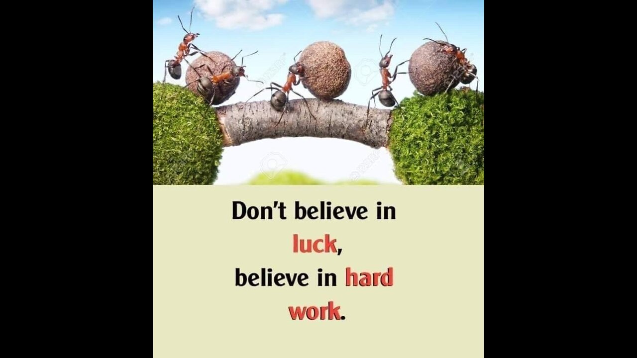 Don't believe in luck, believe in hard work.