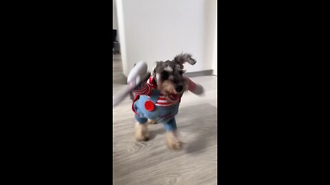 RUNNNNN! 🔪