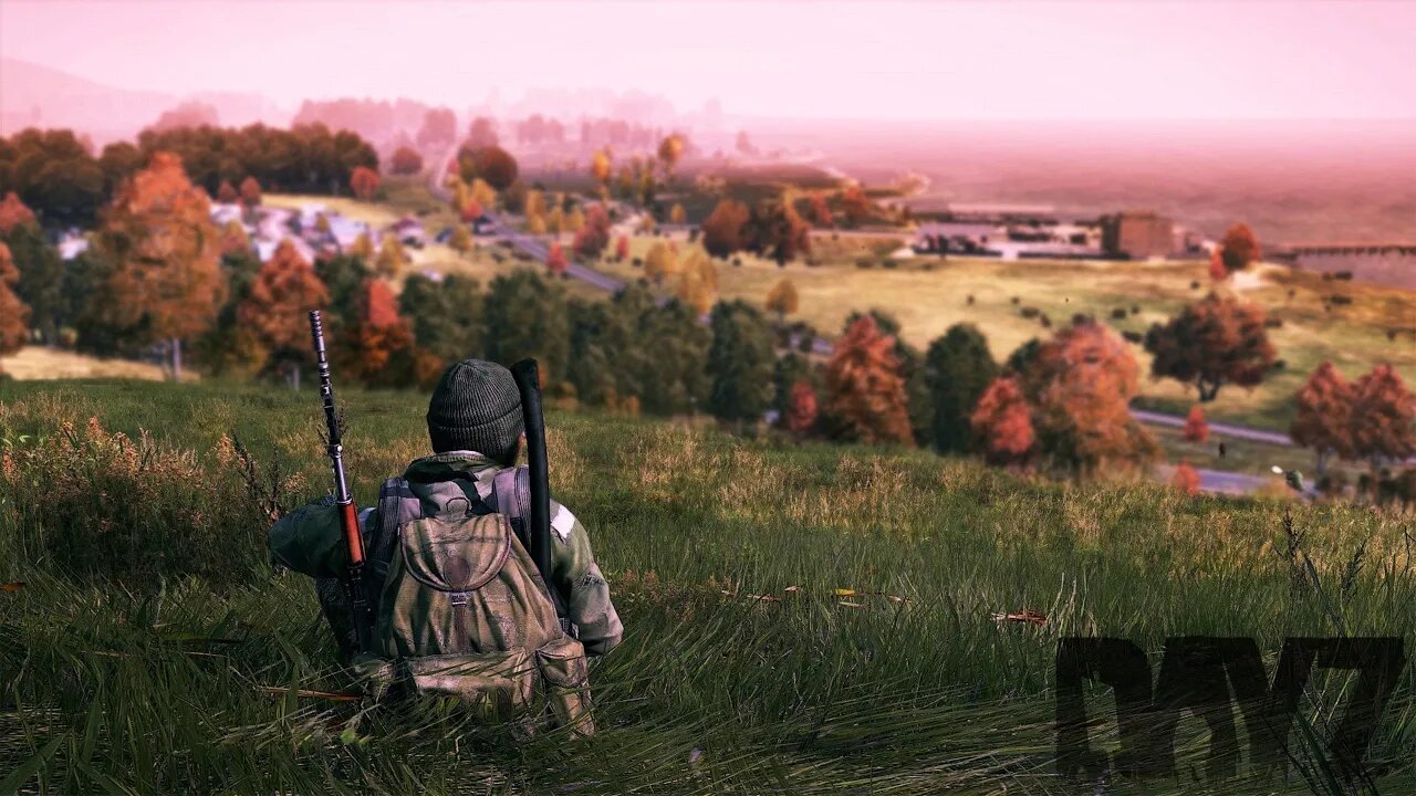 DayZ Montage (2 minutes)