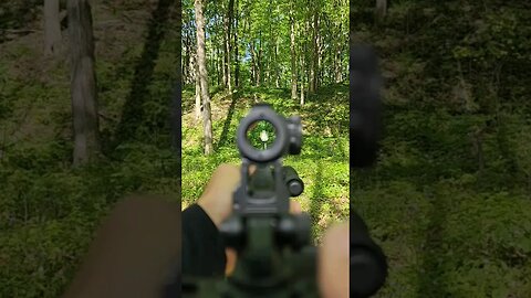 Red Dot vs Iron Sights