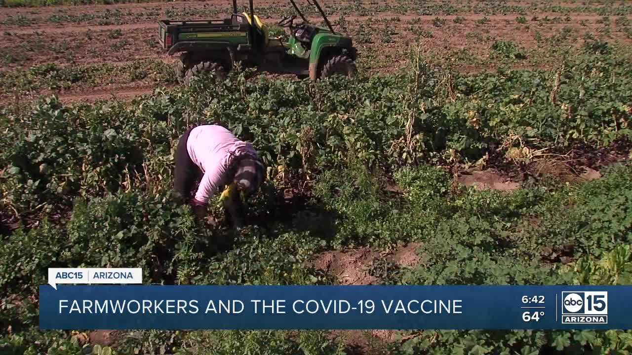 Farmworkers deemed essential fear they’re not a top priority for a COVID-19 vaccine