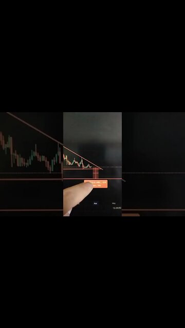 CARDANO 🤯🧠👍 Crypto