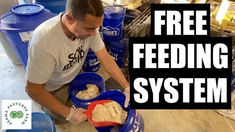 DETAILED: How We Feed Animals (for free)