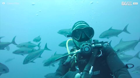 Un plongeur prend un selfie au milieu d'un banc de poissons