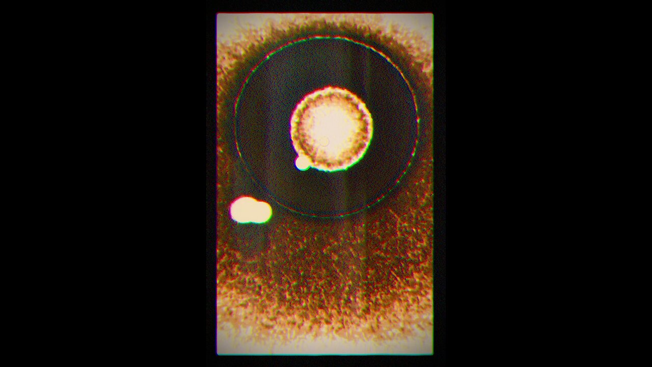 Incredible visuals force you to relax 🙂