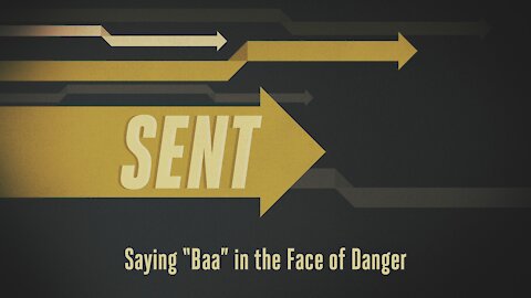 Sent: Episode 3. Saying “Baa” in the Face of Danger