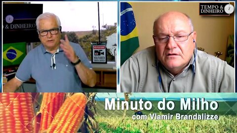 Milho mostrando indicativos firmes