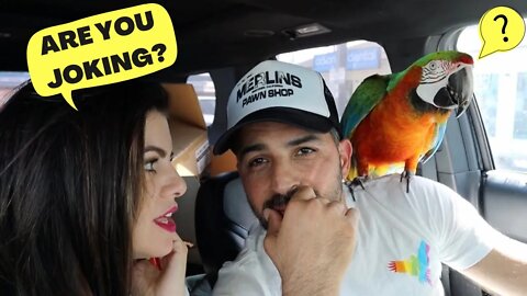 GEORGE WANTS TO REHOME ALL THE PARROTS! | MY SISTER SHOCKS ME WITH A SURPRISE BIRTHDAY PARTY!