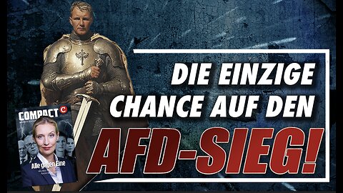 🔴 Das muss passieren, damit die AfD gewinnt 11/24