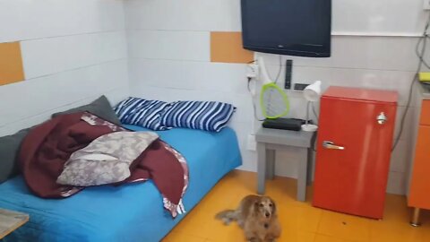 My Studio Apartment in Mexico City. Ciudad De Mexico. CDXM