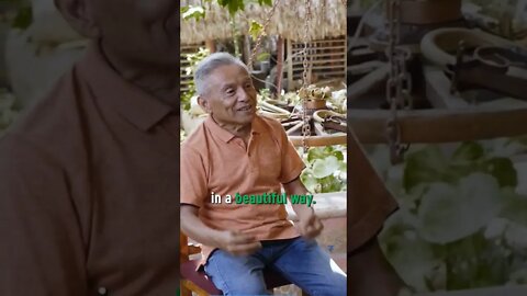 Maestro Dili talks about Trova music and the meaning of the songs #music #culture #yucatan #mexico