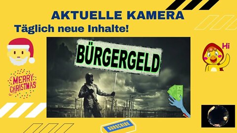 Danke Baerbock! 10 Millionen Neue Staatsbürger erhalten Bürgergeld | Der HON Klartext Podcast