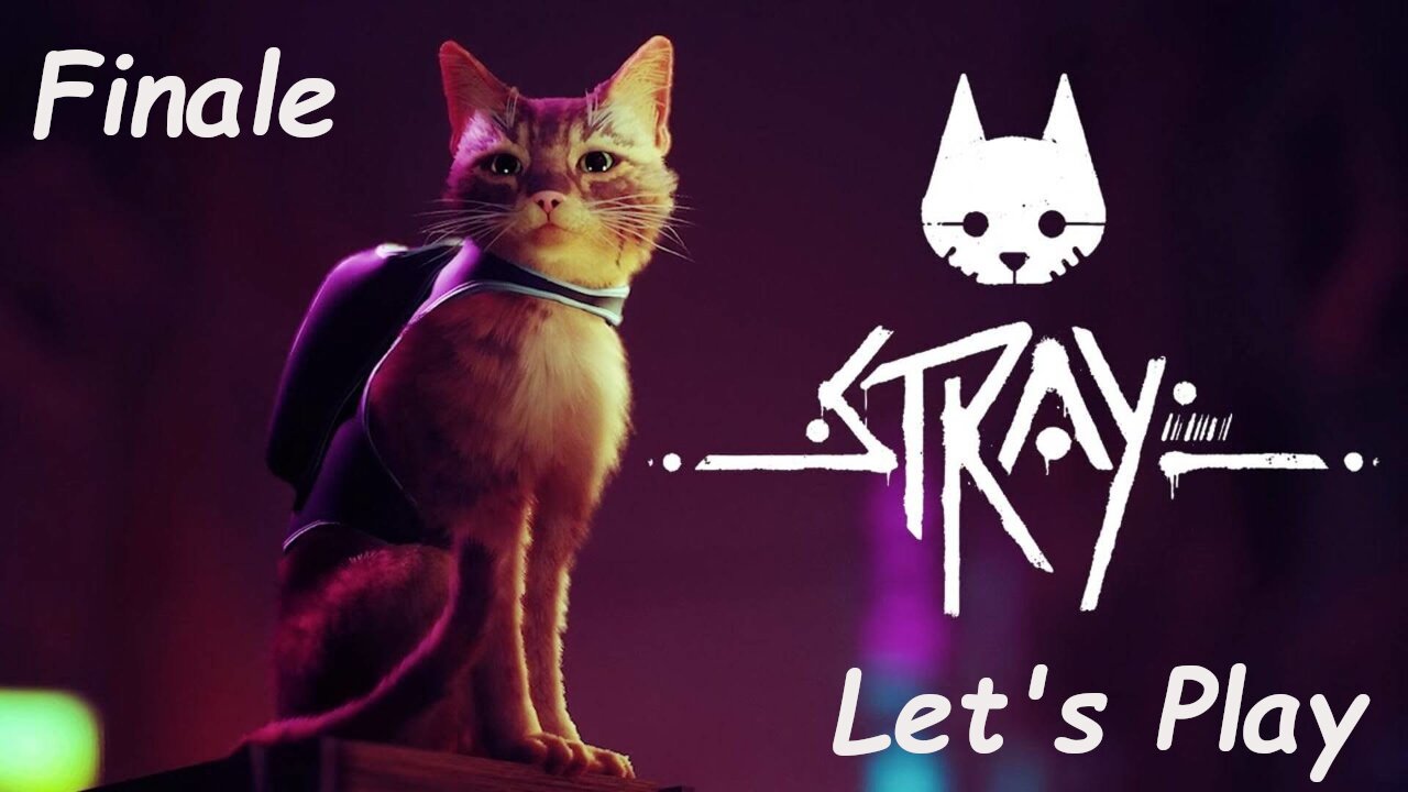 Let's Play - Stray - Finale