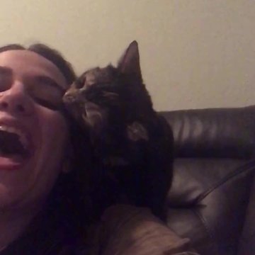 A Cat Bites A Woman’s Face To Show That She Hates Her Singing