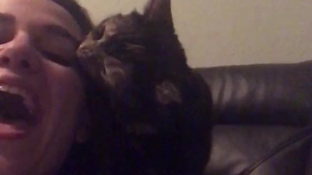 A Cat Bites A Woman’s Face To Show That She Hates Her Singing