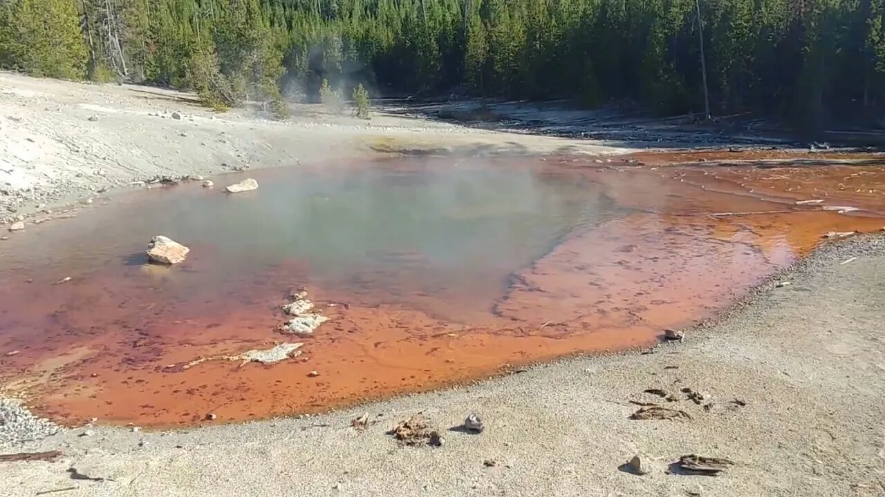 Echinus Geyser in Yellowstone