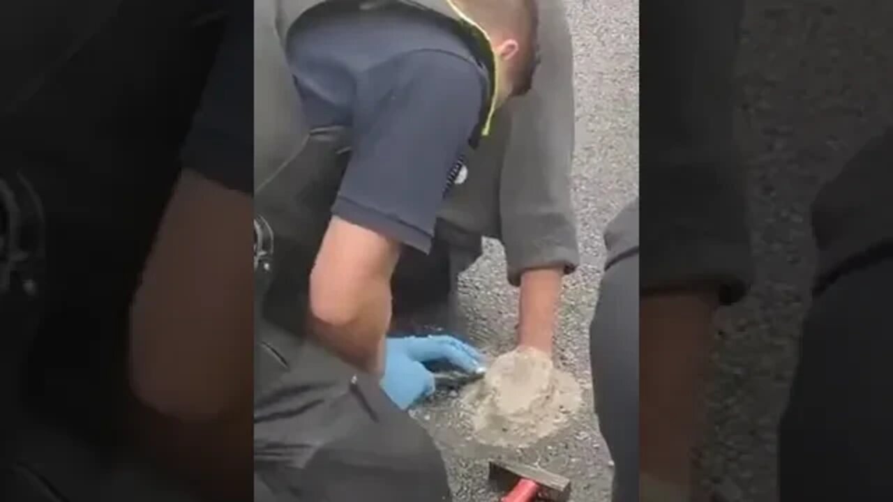 CLIMATE CHANGE ACTIVIST cemented their hand in middle of the road