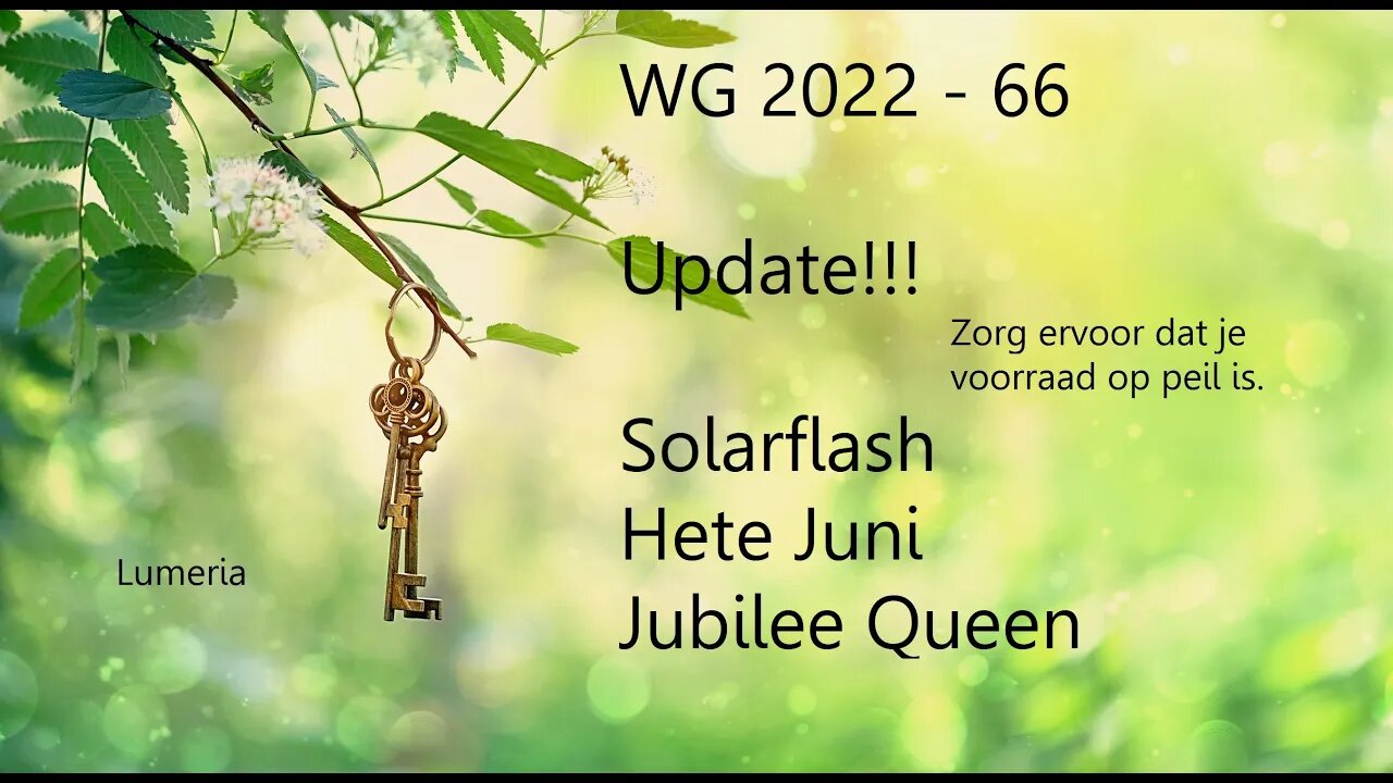 WG 2022 - 66 - Update!!! - Solarflash - Vliegen - Queen - mini EBS