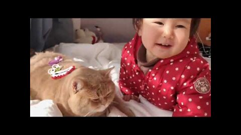 Cute And Funny Pets Try Not To Laugh To These Pets Compilation 38 @anupctg