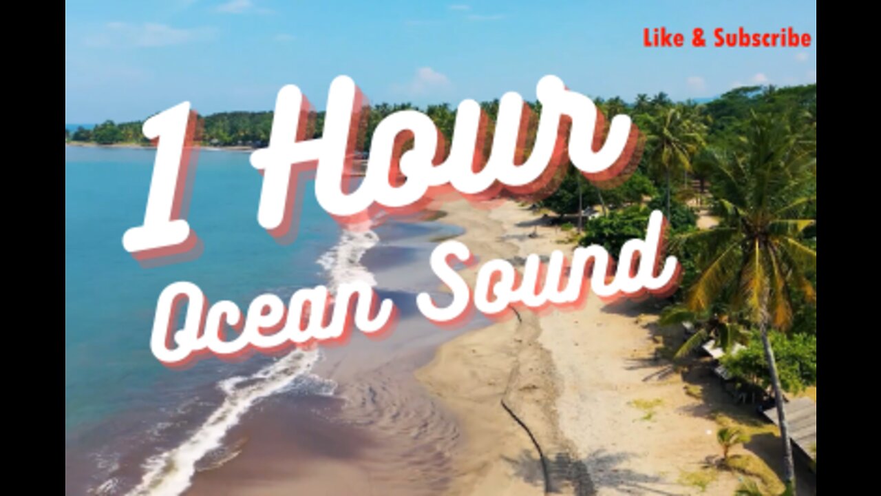 1 Hour Beach Sounds from the Tropics - Ocean Wave Sounds for Sleeping, Yoga, Meditation, Study