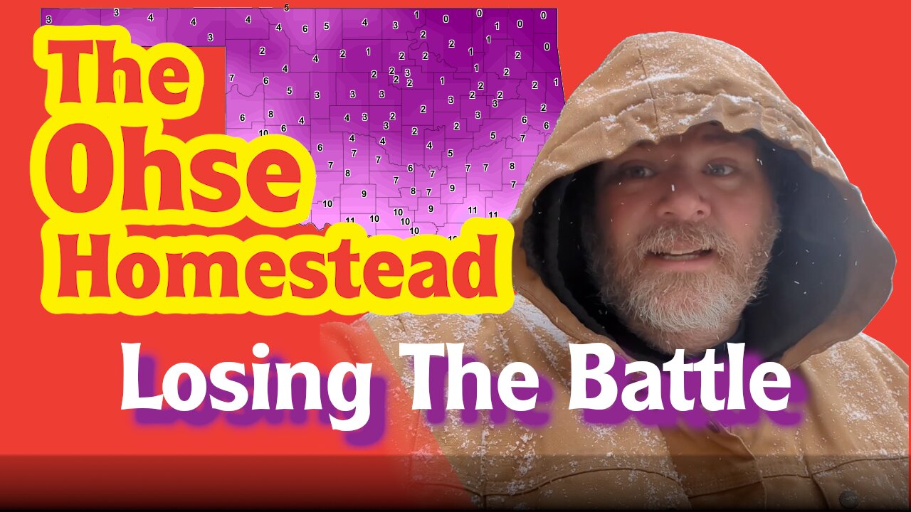 Losing The Battle