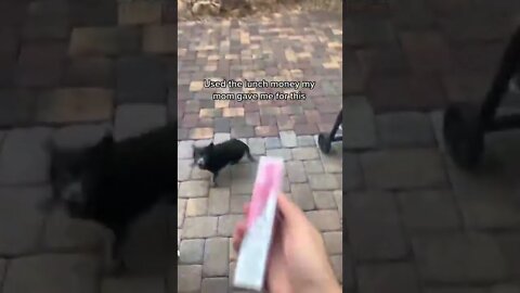 Used the lunch money my mom Video By puffstoree #Shorts