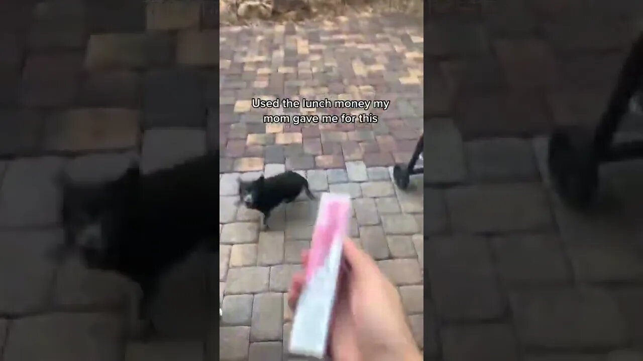 Used the lunch money my mom Video By puffstoree #Shorts
