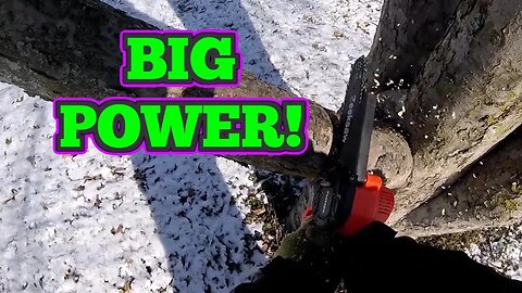 Big Power From A Little Chainsaw! Zeeksaw Gets It Done!