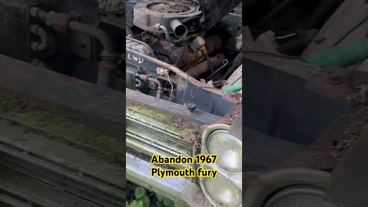 Abandon Plymouth Fury Sport Left for dead…..