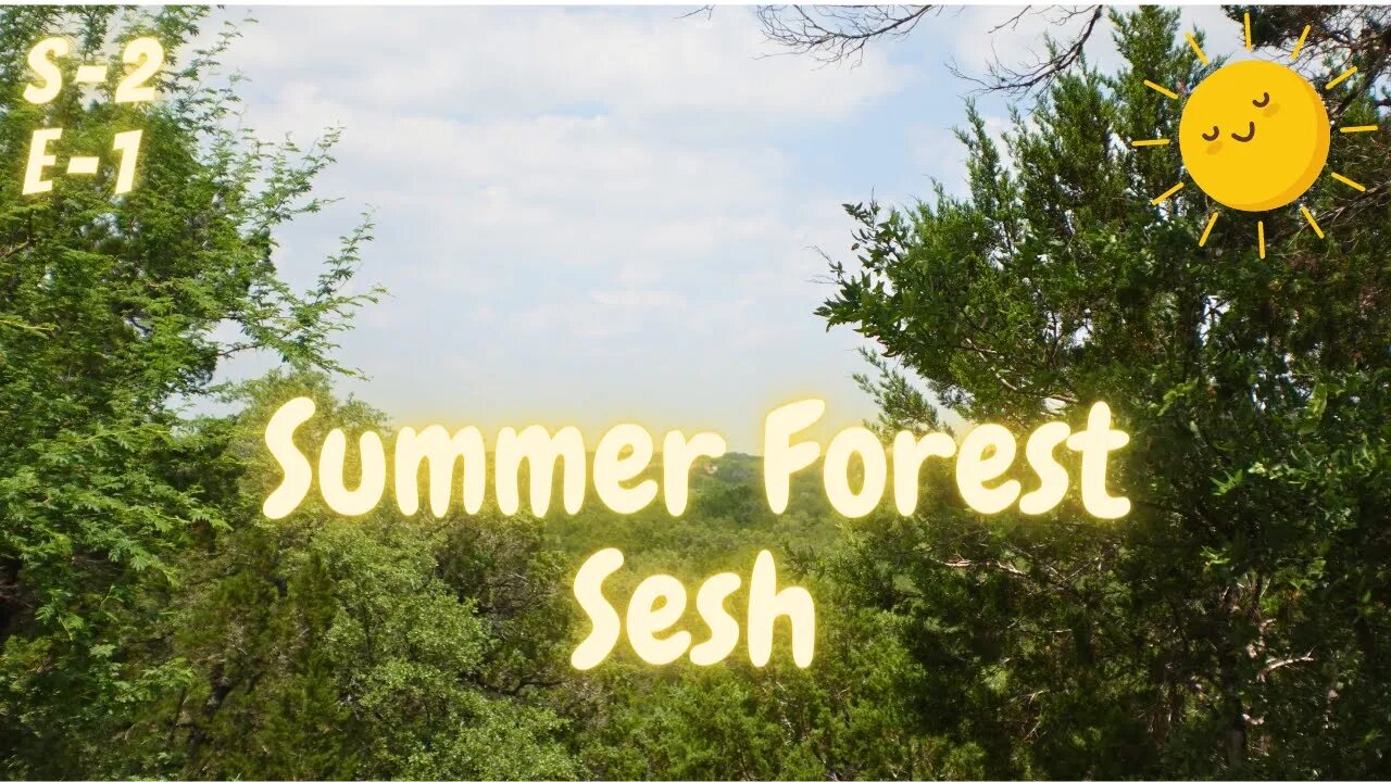 Summer Forest Sesh