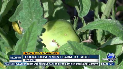 Parker Police garden donates produce to local food pantry