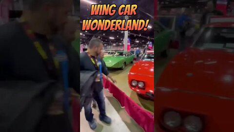 Wing Car Wonderland! #shorts