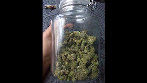 How to keep you're bud fresh and properly stored