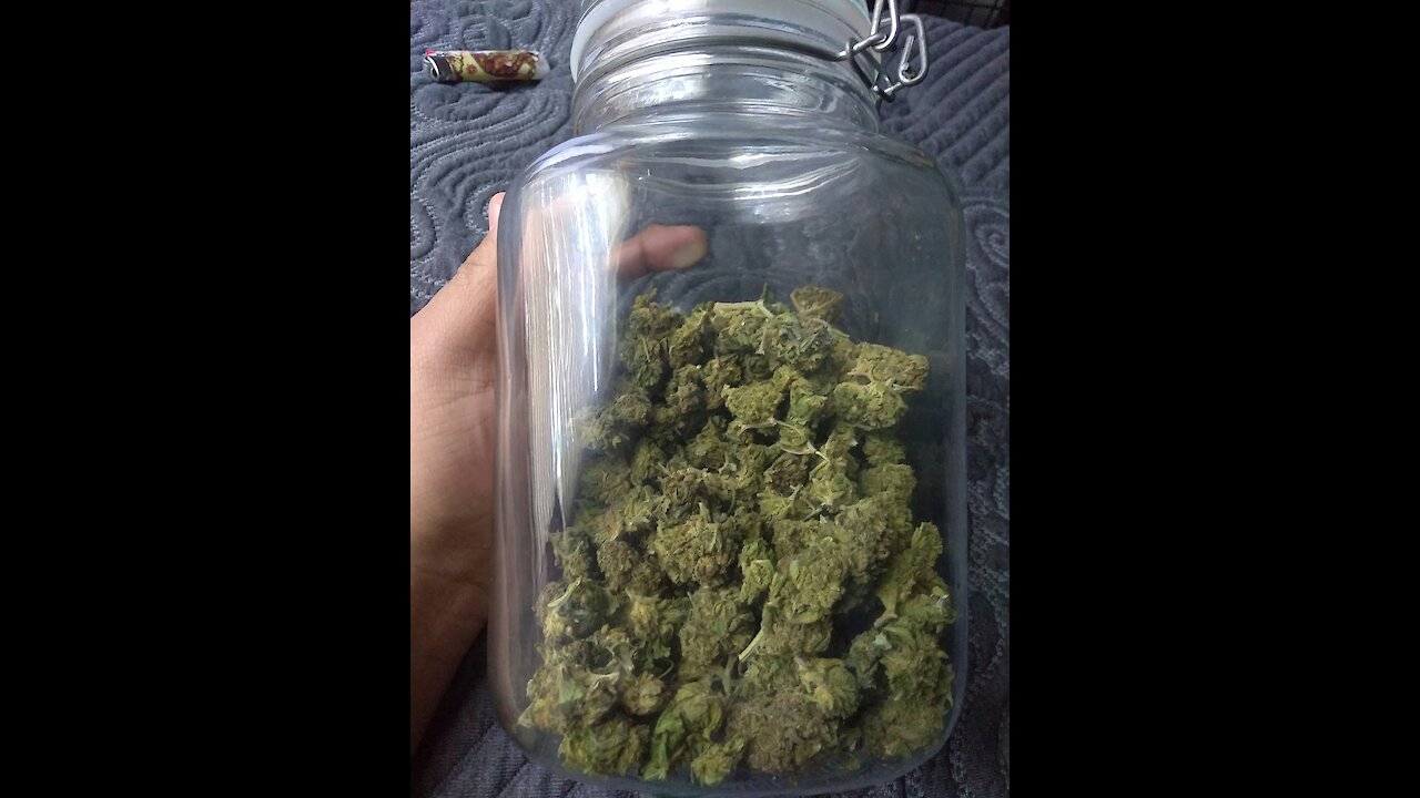 How to keep you're bud fresh and properly stored
