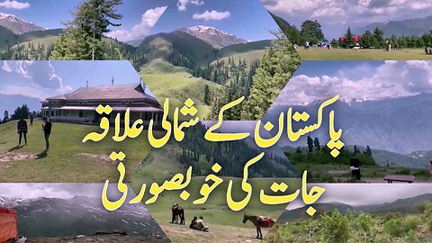 Natural Beauty Northern Areas Of Pakistan