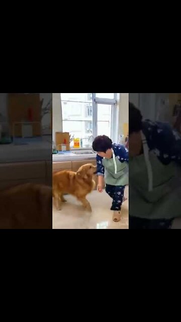 Smart Dog Taking Care of Baby Another Pet Goes To Heaven !!