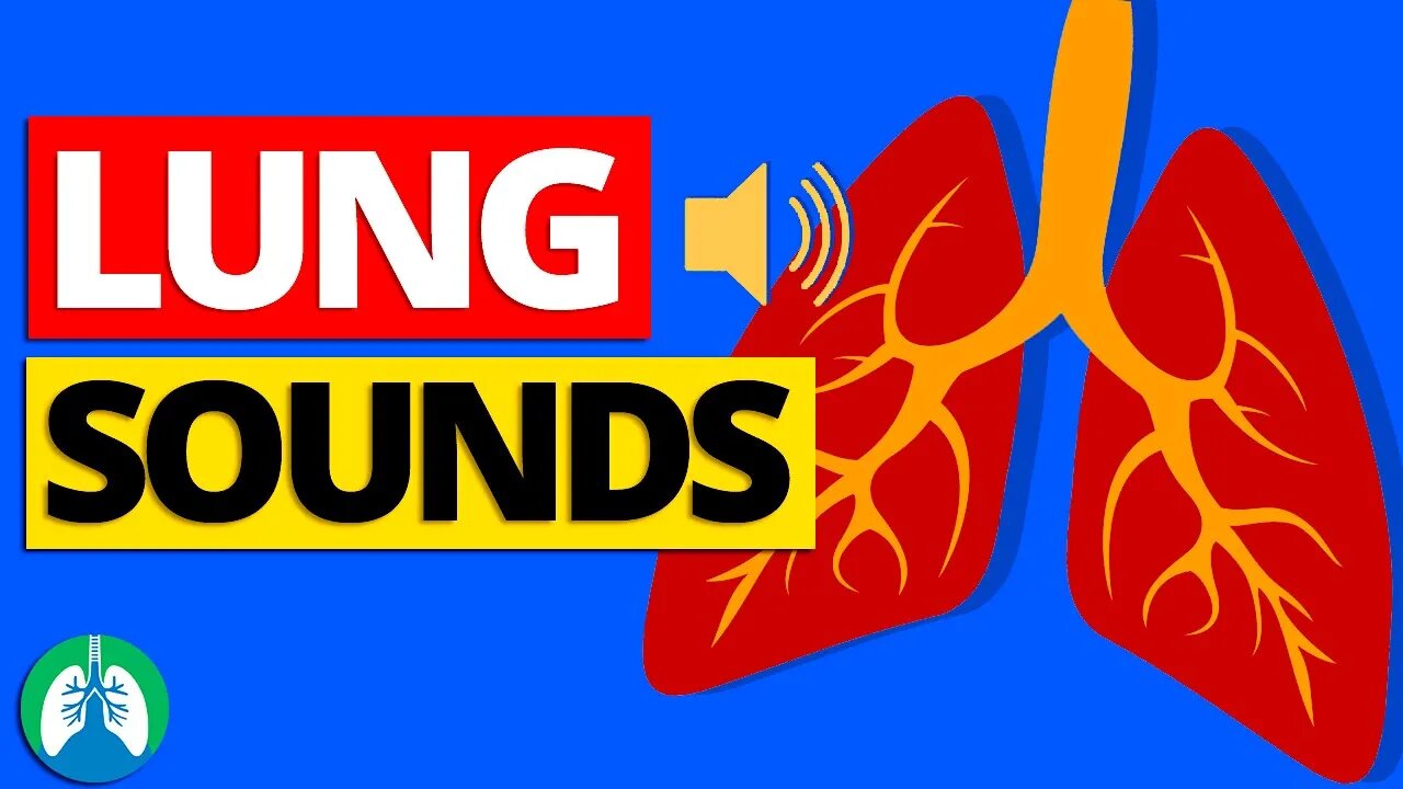 Lung Sounds (Abnormal Breath Sounds and Auscultation) | Respiratory Therapy Zone