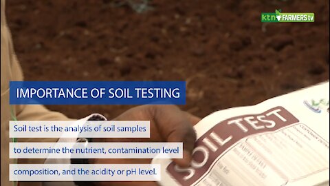 The Importance of Soil Testing - Farm Kenya