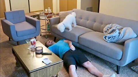 My Dog's Reaction When I Pretend Faint!