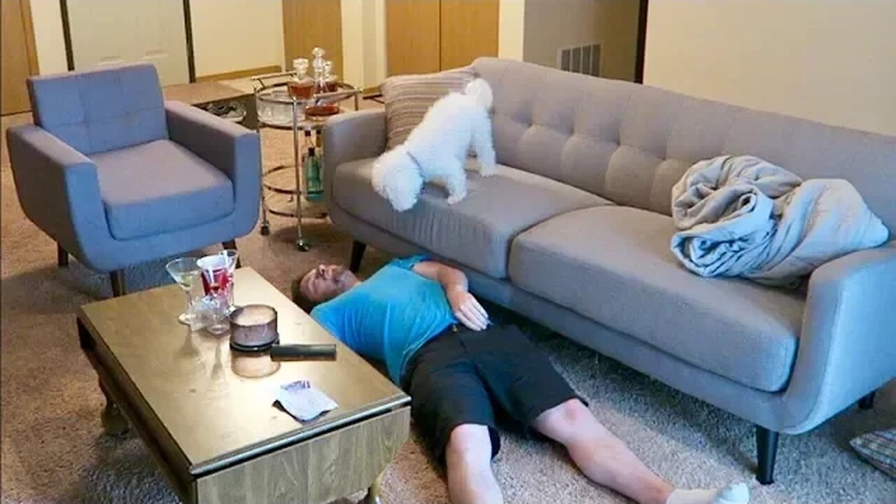 My Dog's Reaction When I Pretend Faint!