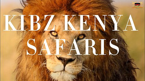 KIBZ KENYA SAFARIS SN 1