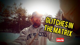 Glitches in Matrix: The Raw Vegan Journey and Now