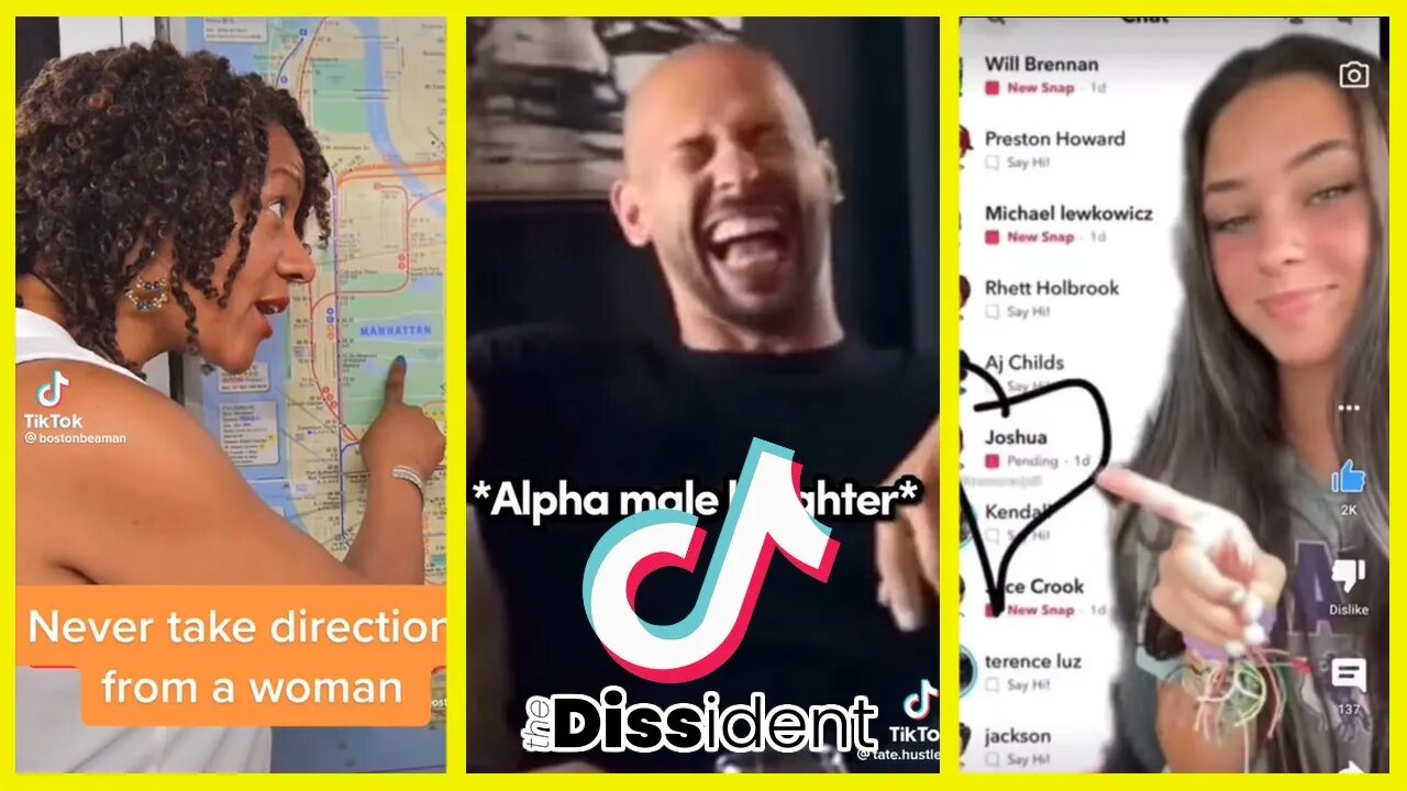 MGTOW Compilation (Part 22) | A TikTok Compilation of Men Going Their Own Way