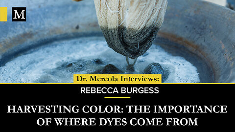 Harvesting Color: The Importance of Where Dyes Come From - Interview with Rebecca Burgess