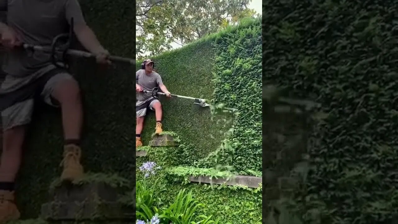 Rate his precision skills from 1 10