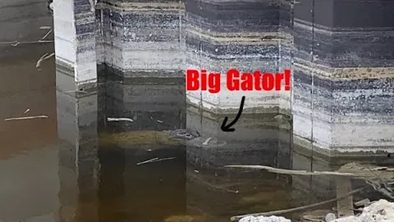 Fishing dangerous spillway | Big gators