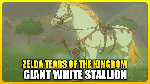 Zelda Tears of the Kingdom - Giant White Stallion Location (Unlimited Stamina Horse)