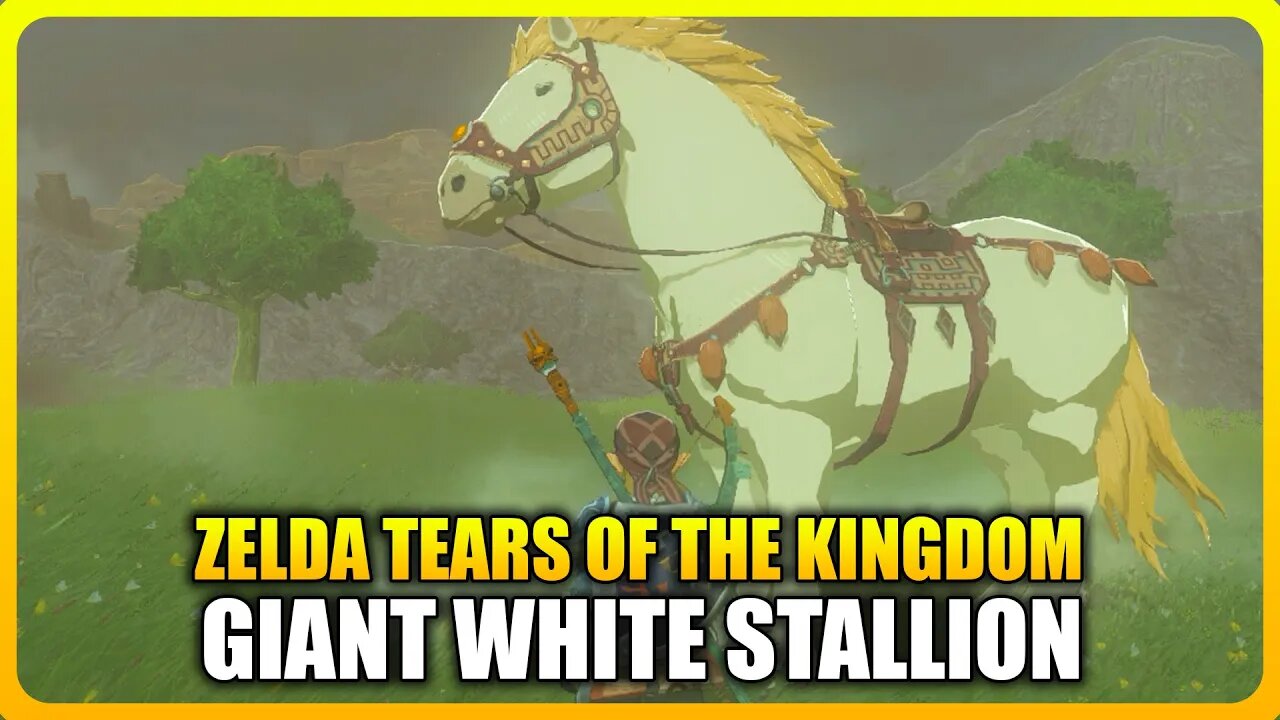 Zelda Tears of the Kingdom - Giant White Stallion Location (Unlimited Stamina Horse)